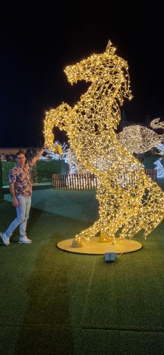 عکس کوه نور صفه