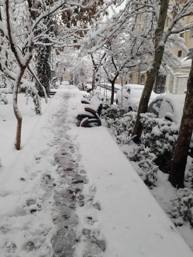 عکس بوستان مشاهیر