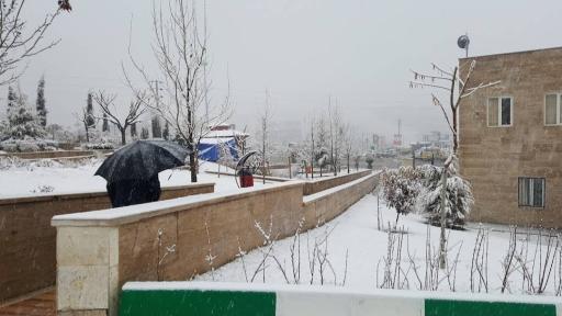 عکس بوستان مشاهیر