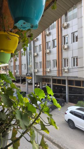 عکس هتل زیارت گرگان