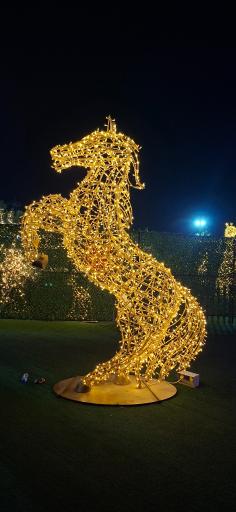 عکس کوه نور صفه