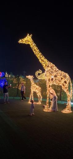 عکس کوه نور صفه