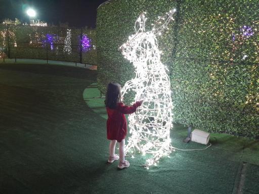 عکس کوه نور صفه