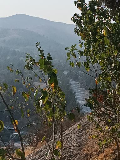 عکس بام هاشمیه (کوهستان پارک خورشید)