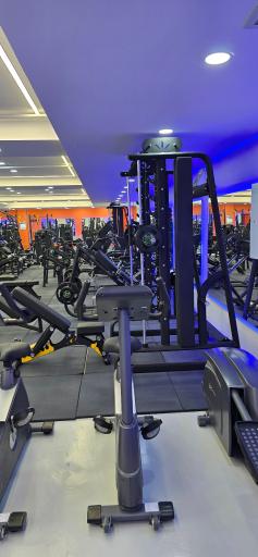 عکس باشگاه بدنسازی روژانو