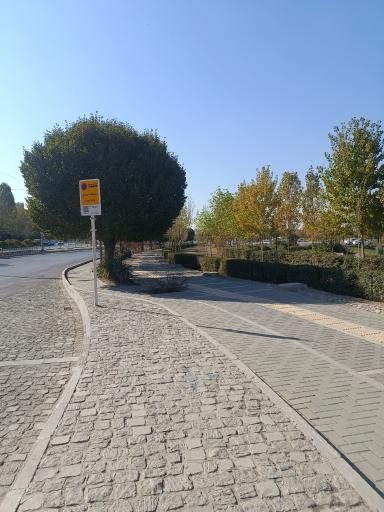 عکس  فارغ التحصیلان