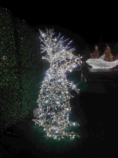 عکس کوه نور صفه