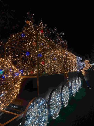 عکس کوه نور صفه