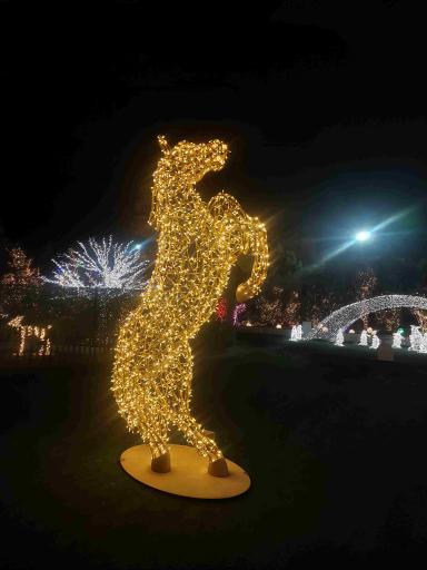 عکس کوه نور صفه