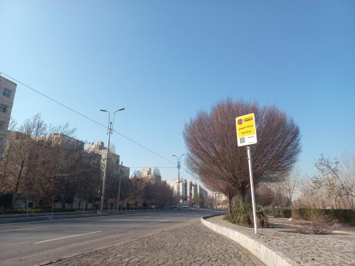 عکس  فارغ التحصیلان