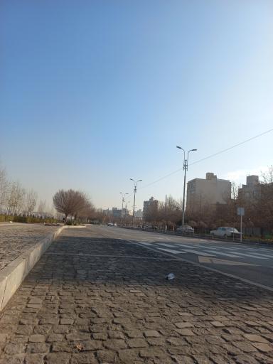 عکس  فارغ التحصیلان