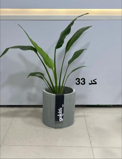 عکس فروشگاه گياه و گلدان گلداس