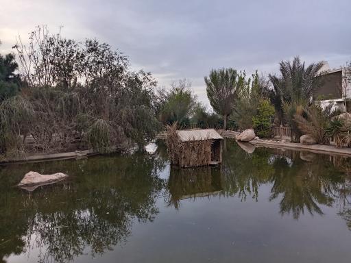 عکس برکه قو پارک آبشار