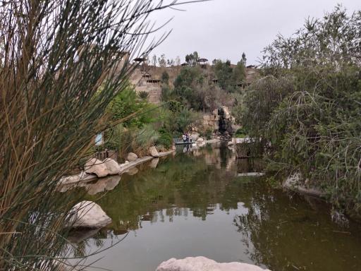 عکس برکه قو پارک آبشار