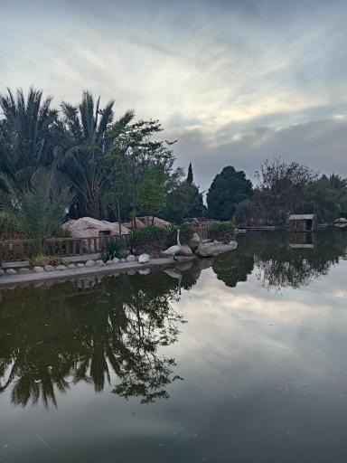 عکس برکه قو پارک آبشار