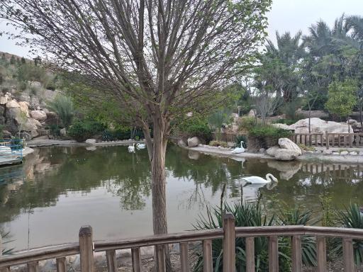 عکس برکه قو پارک آبشار