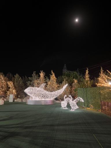 عکس کوه نور صفه