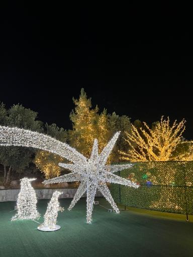 عکس کوه نور صفه