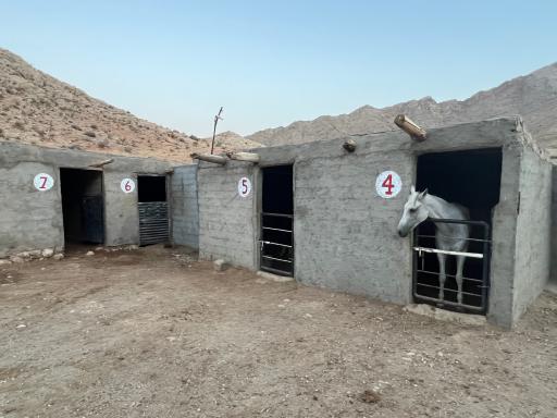 عکس باشگاه سوارکاری هورس سنگسر
