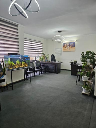 عکس املاک ستاره شعبه ۲