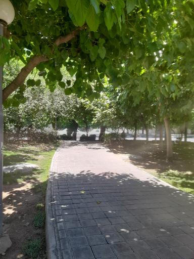 عکس بوستان خوارزمی