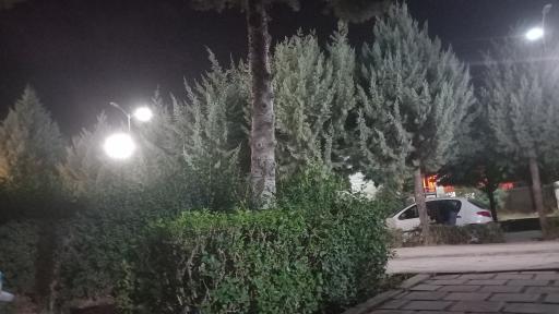 عکس پارک سروستان