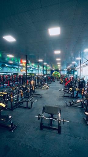 عکس باشگاه بدنسازی وی آی پی تک تن