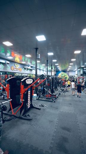 عکس باشگاه بدنسازی وی آی پی تک تن