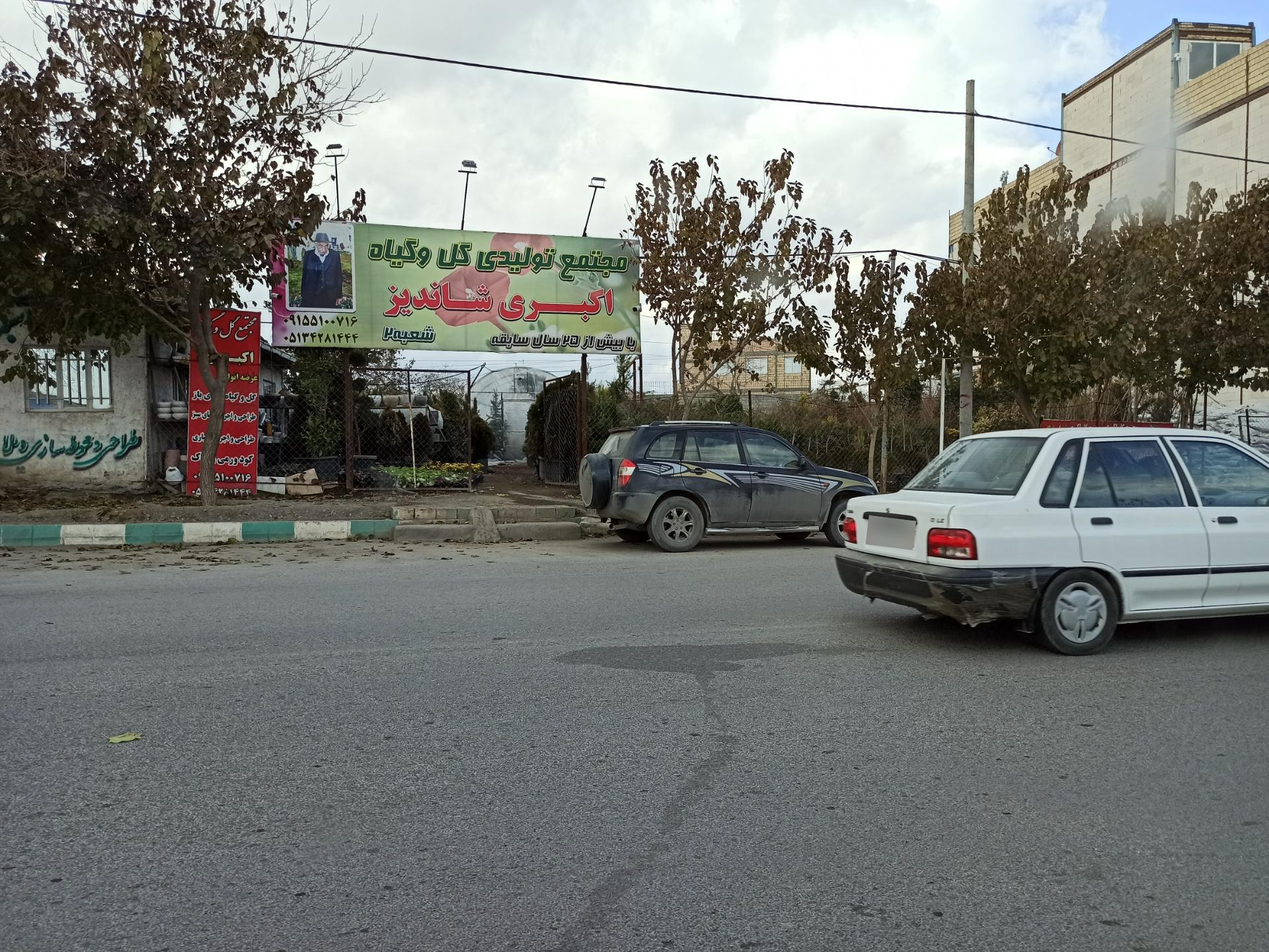 عکس تولیدی گل و گیاه اکبری شاندیز