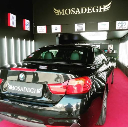 عکس تشخیص رنگ و کارشناسی  مصدق