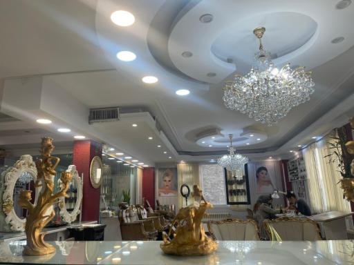 سالن VIP لی لی مافی 