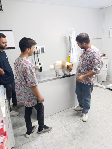 عکس دامپزشکی دکتر جلیلیان