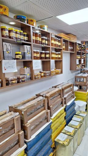 عکس عسل اشرفی