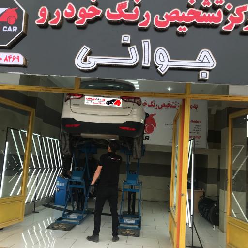 عکس تشخیص رنگ خودرو جوانی