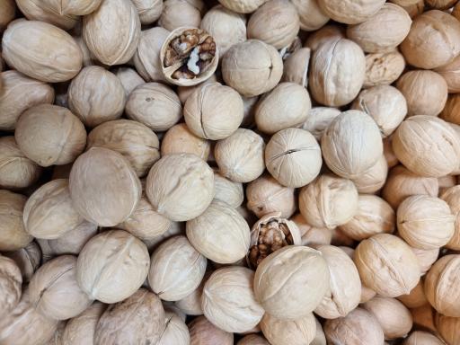 عکس آجیل و خشکبار شوردانه