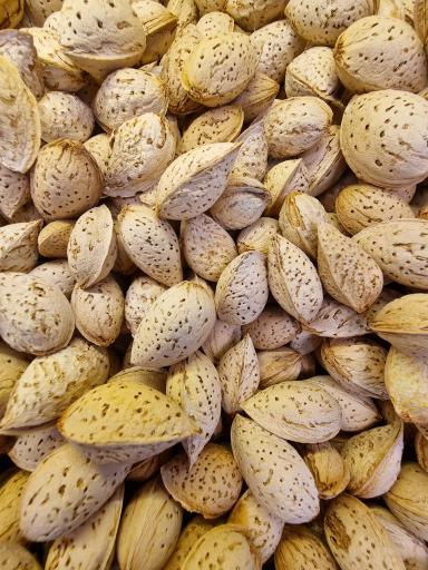 عکس آجیل و خشکبار شوردانه