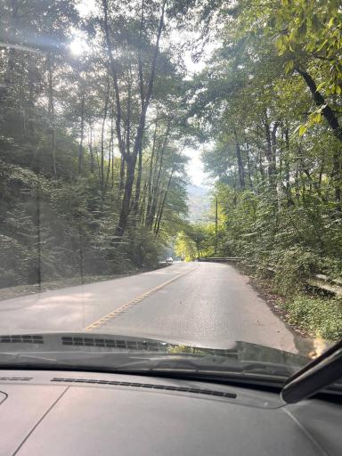 عکس پارک جنگلی توسکا چشمه