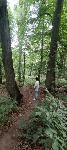 عکس پارک جنگلی توسکا چشمه