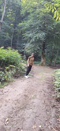 عکس پارک جنگلی توسکا چشمه