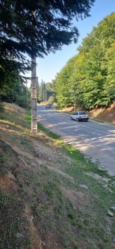 عکس پارک جنگلی توسکا چشمه