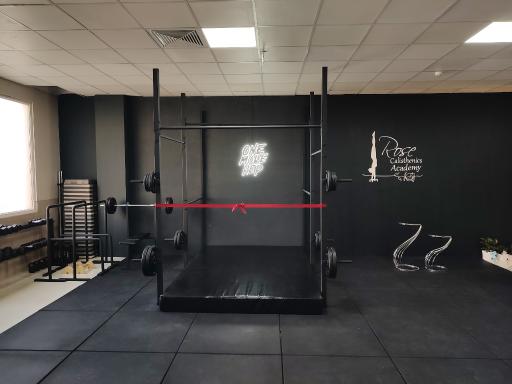 عکس آکادمی کلیستنیکس رز 