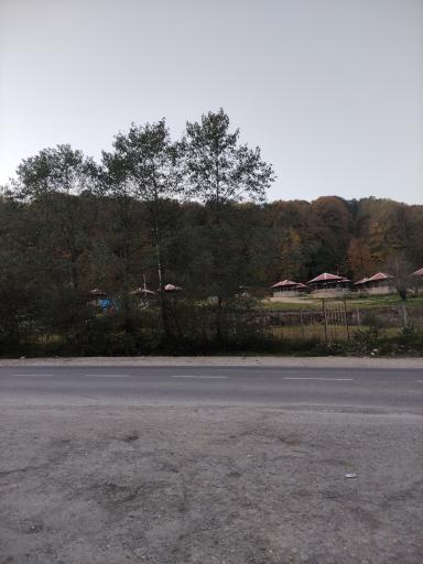 عکس پارک جنگلی توسکا چشمه