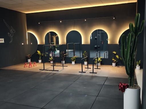 عکس آکادمی کلیستنیکس رز 