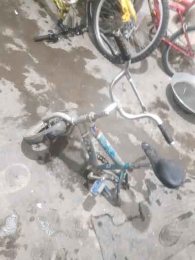 عکس دوچرخه سازی البرز