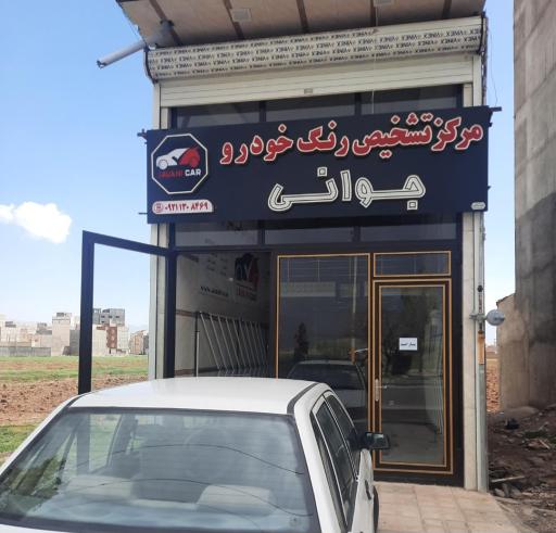 عکس تشخیص رنگ خودرو جوانی