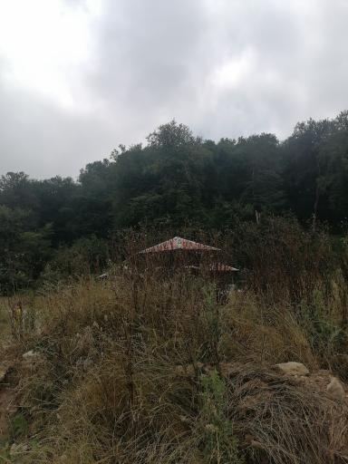 عکس پارک جنگلی توسکا چشمه