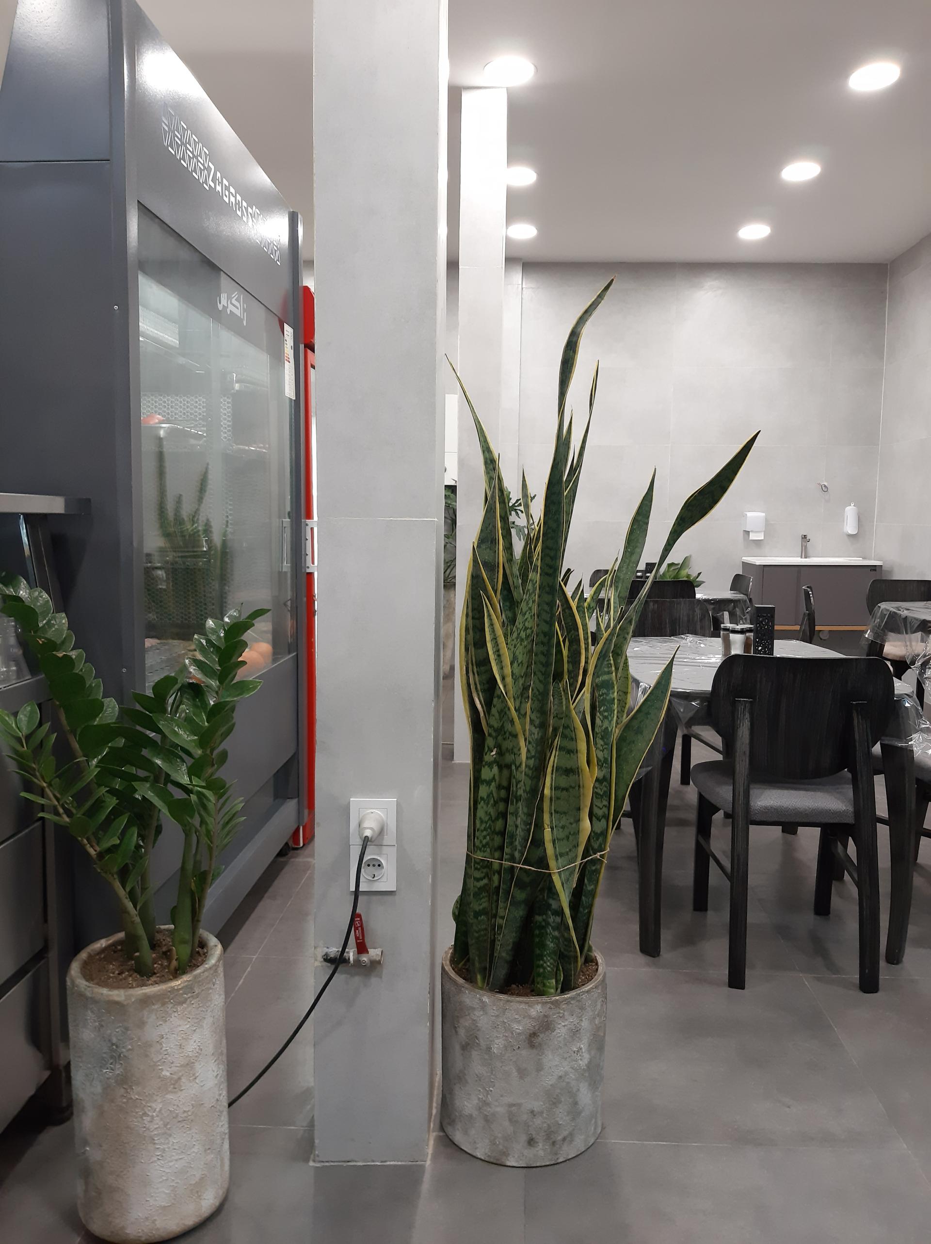 عکس کباب خونه