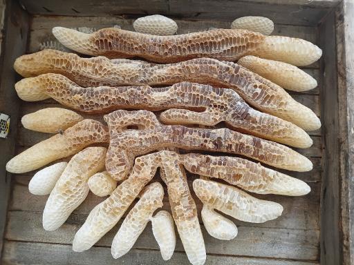 عکس عسل فروشی