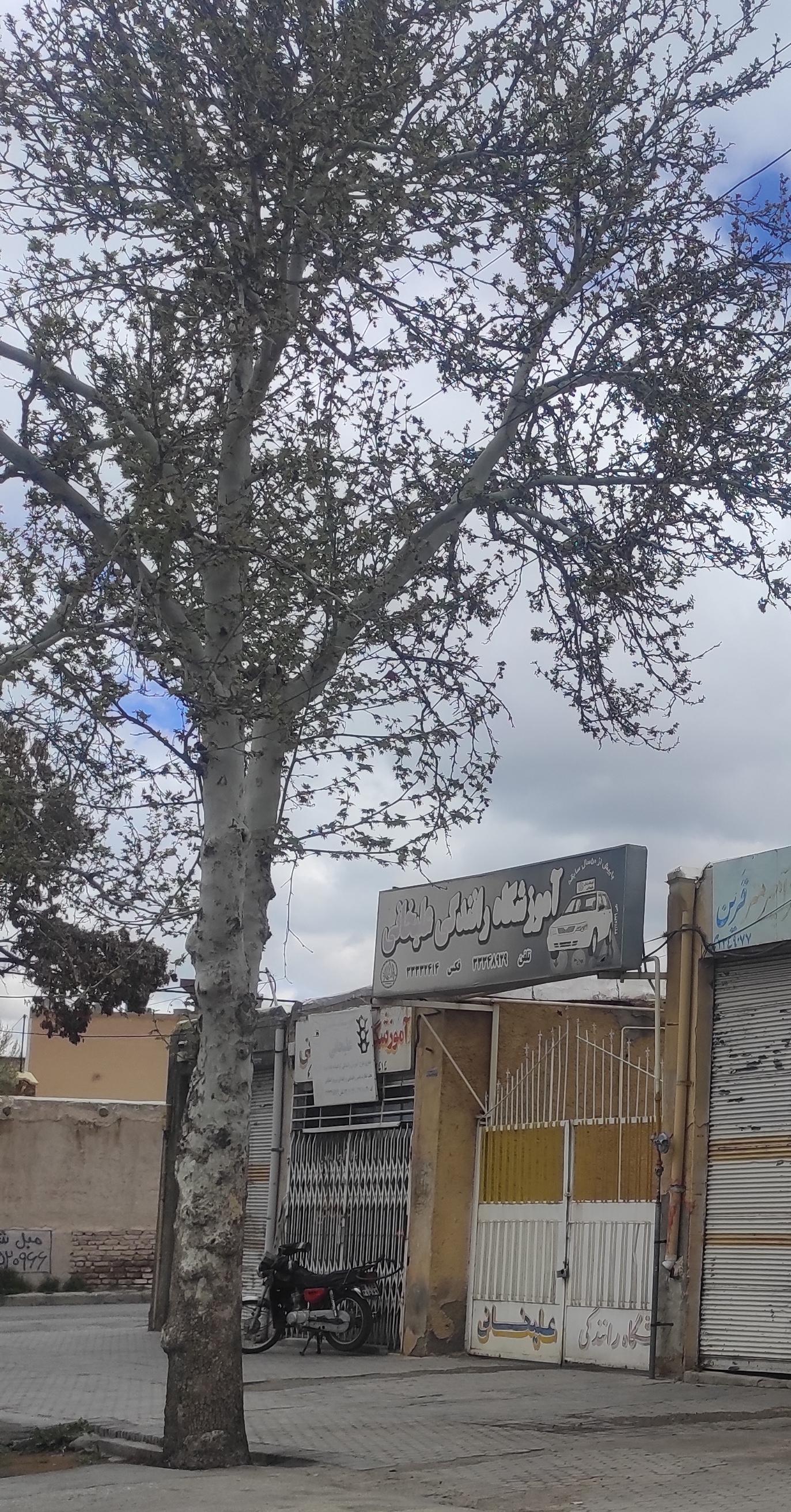 عکس آموزشگاه رانندگی علیخانی