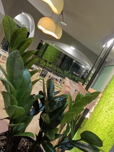 عکس بستنی بابا اسماعیل